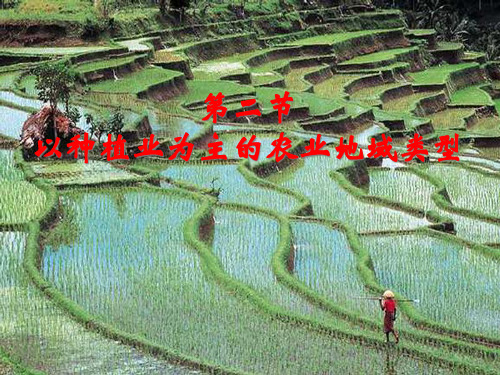 地理学-以种植业为主的农业地域类型
