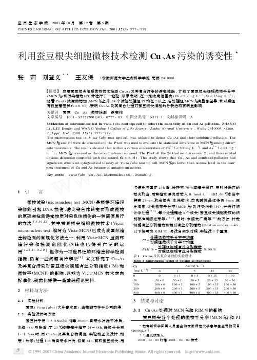 利用蚕豆根尖细胞微核技术检测CuAs污染的诱变性