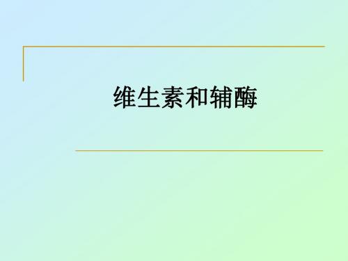 维生素和辅酶
