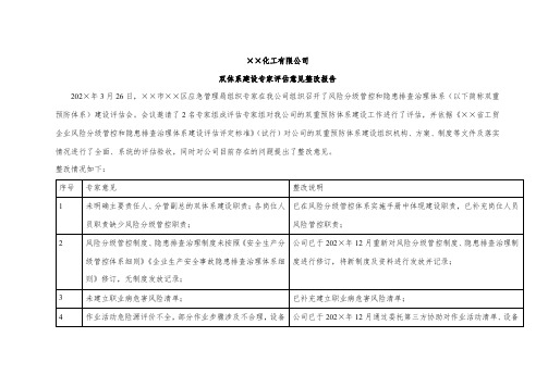 双体系建设专家评估意见整改报告