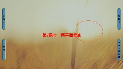2016-2017学年高中数学必修二课件：第一章 立体几何初步-1.2-1.2.4-第2课时 精品