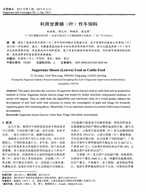 利用甘蔗梢(叶)作牛饲料
