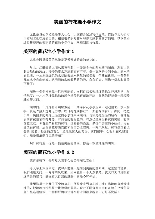 美丽的荷花池小学作文