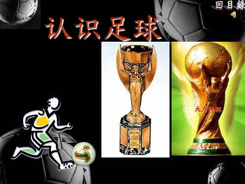 幼儿足球训练基础知识足球ppt课件