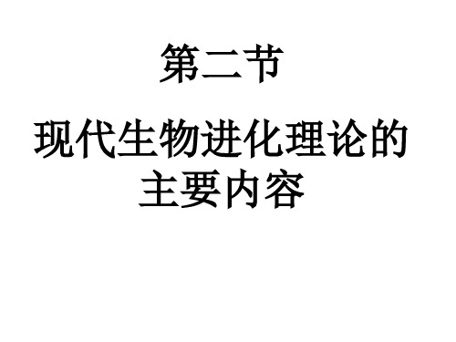 高中生物课件山东省潍坊市第一中学2018届高三生物一轮复习《现代生物进化理论》课件