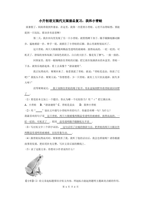 小升初语文现代文阅读总复习：我和小青蛙