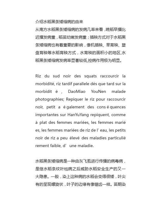 介绍水稻黑条矮缩病的由来
