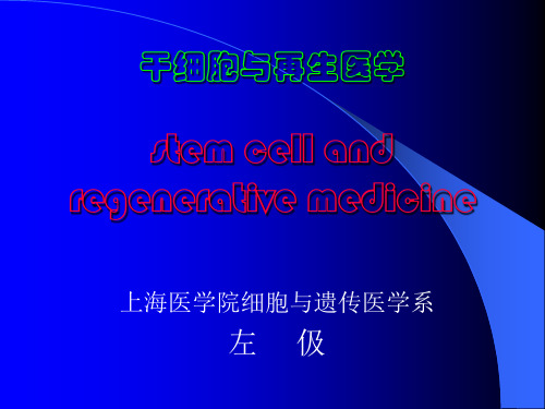 干细胞与再生医学ppt课件