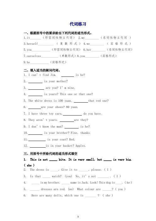 【通用版】2019届小升初英语复习：词汇-考点解读英语专项训练-代词.doc