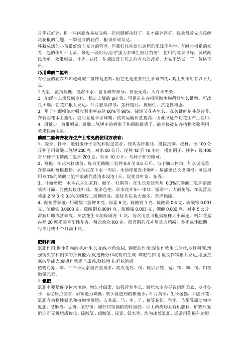 月季养护心得