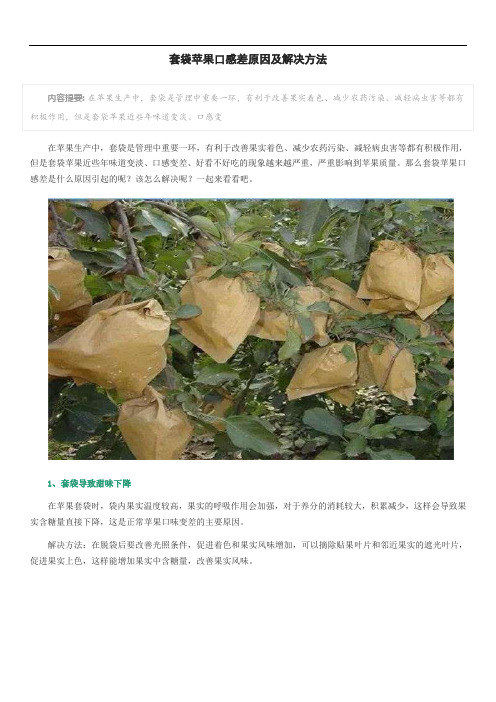 套袋苹果口感差原因及解决方法