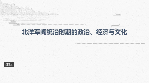 人教统编版高中历史必修中外历史纲要上第20课 北洋军阀统治时期的政治、经济与文化