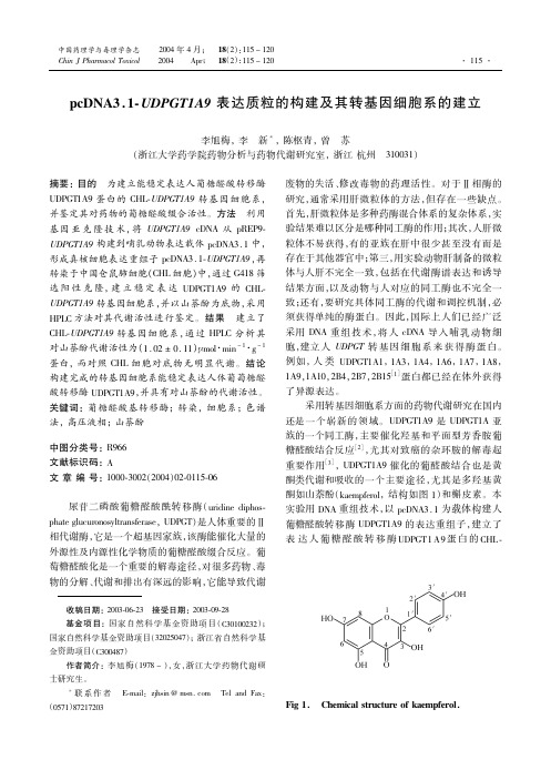 pcDNA3.1-UDPGT1A9表达质粒的构建及其转基因细胞系的建立