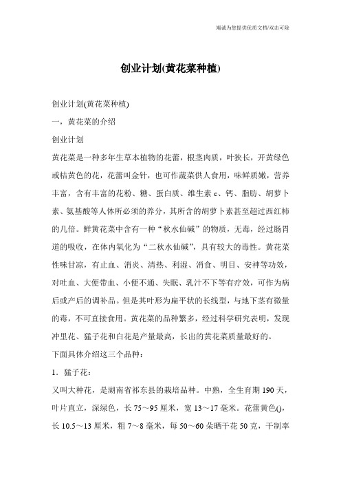 创业计划(黄花菜种植)
