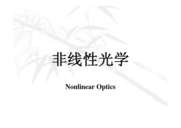 赵凯华光学非线性光学_1
