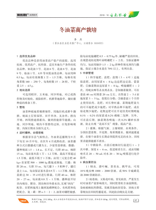 冬油菜高产栽培