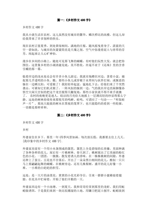 我印象中的乡村作文400字