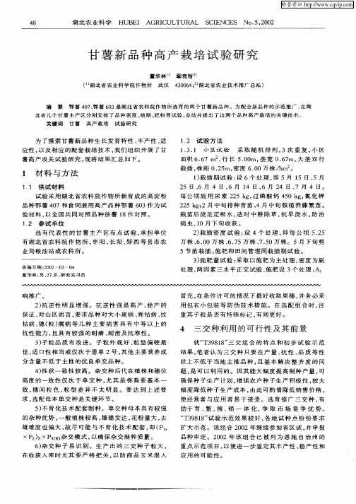 甘薯新品种高产栽培试验研究