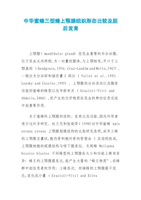 中华蜜蜂三型蜂上颚腺组织形态比较及胚后发育