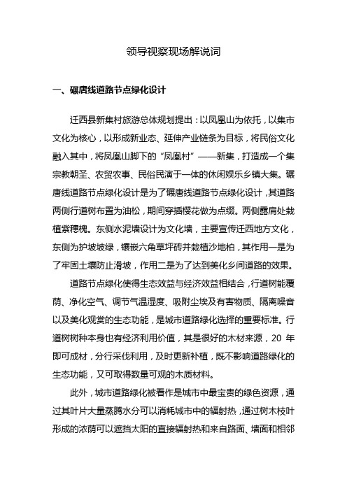 领导视察现场解说词