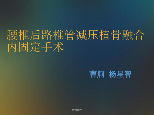 《腰椎融合手术》PPT课件