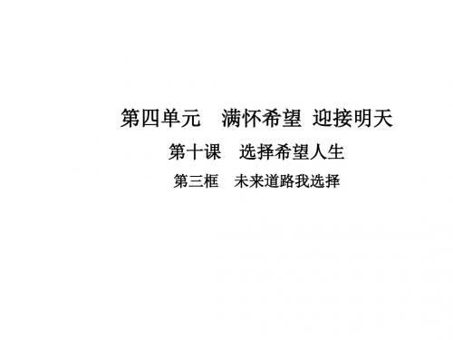 人教版九年级思想品德全一册课件：10.第三框  未来道路我选择