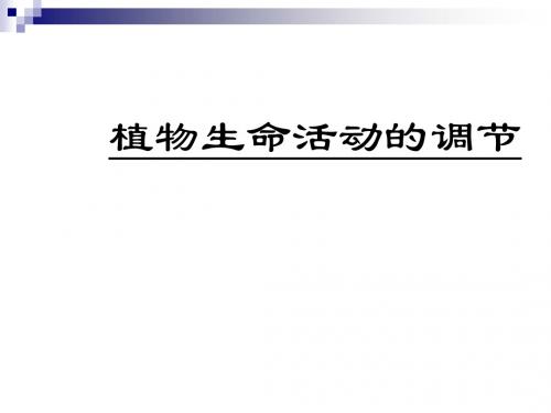 苏教版必修三 植物生命活动的调节 课件(35张) (2)