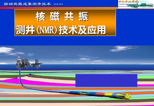 第一章 CMR测井技术及应用PPT课件