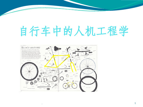 自行车中的人机工程学