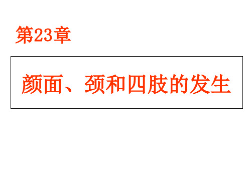 23颜面、颈和四肢的发生