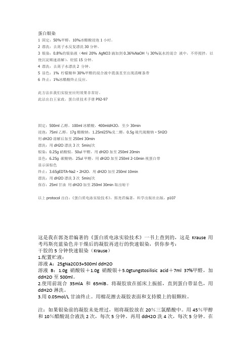 蛋白银染