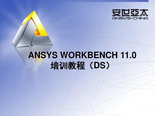 ANSYS中DS 介绍课件