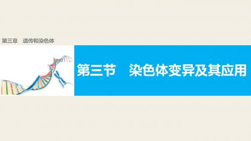 苏教版必修二 3.3染色体变异及其应用 课件(41张)