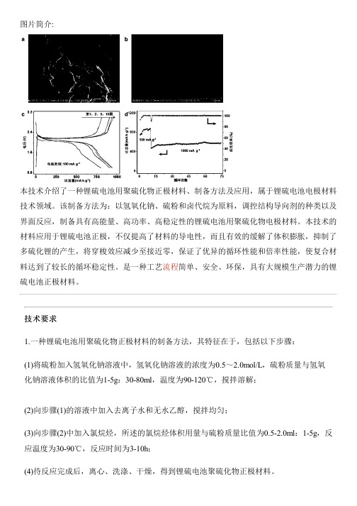 锂硫电池用聚硫化物正极材料、设备制作方法及应用与设计方案