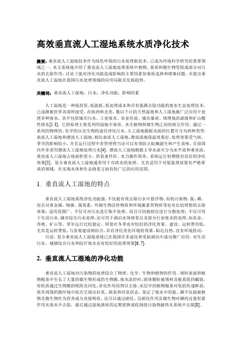 高效垂直流人工湿地系统水质净化技术