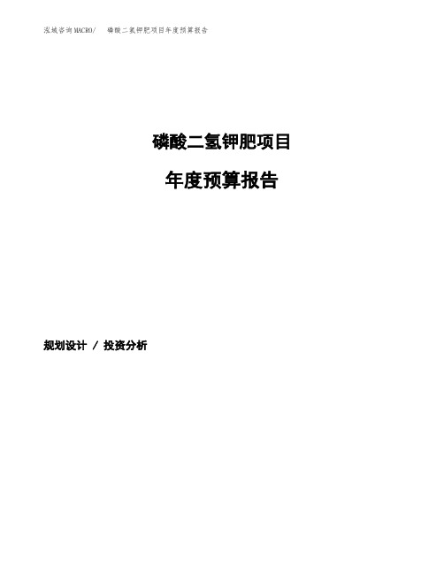磷酸二氢钾肥项目年度预算报告