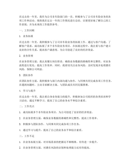 非车险个人工作总结