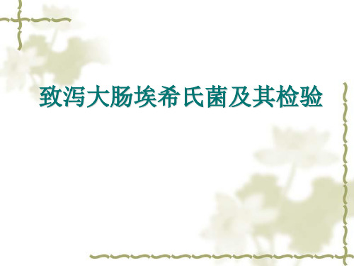 致泻大肠埃希式菌的检验 PPT课件