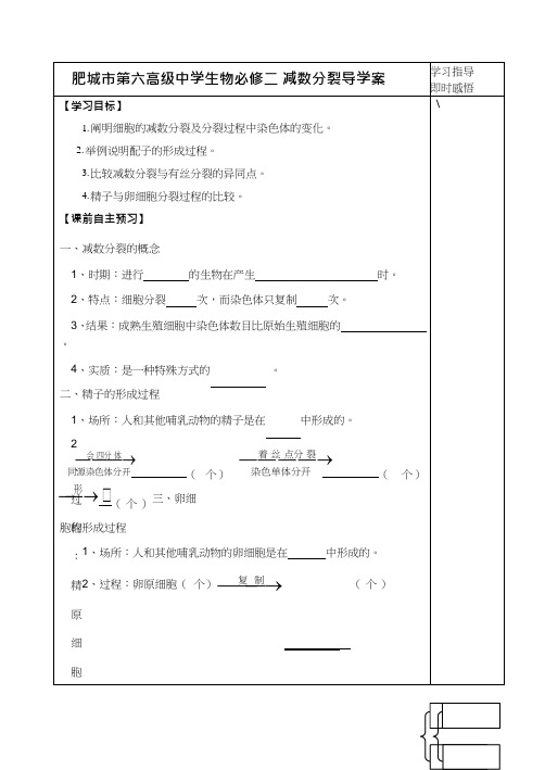 高中生物《减数分裂(11)》优质课教案、教学设计