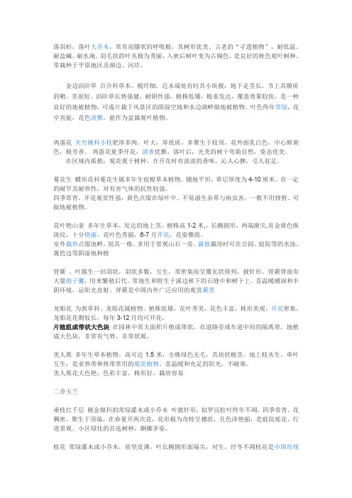 落羽杉
