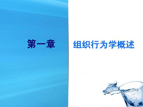 第一章 组织行为学概论