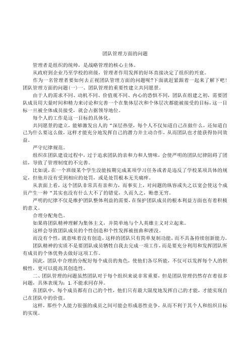 团队管理方面的问题