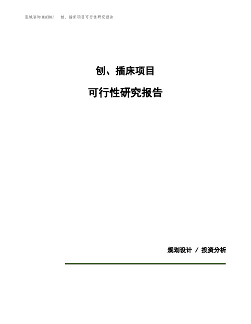 刨、插床项目可行性研究报告(规划设计模板)