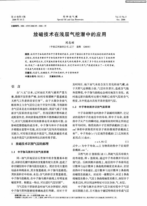 放磁技术在浅层气挖潜中的应用