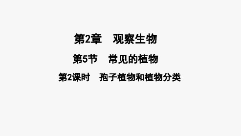 浙教版科学《常见的植物》ppt优秀课件1