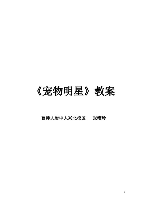 终结版宠物明星 - 简案
