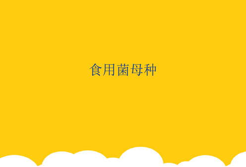 【实用】食用菌母种PPT资料