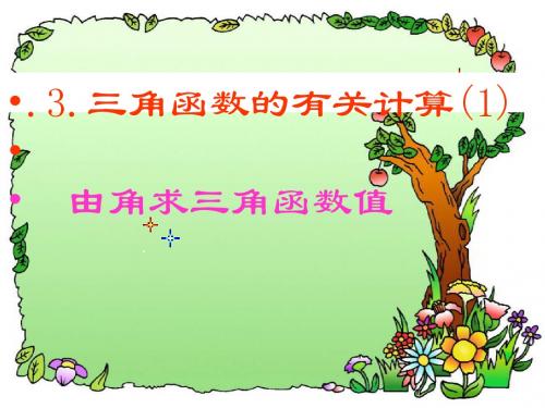 1.2 有关三角函数的计算(1)