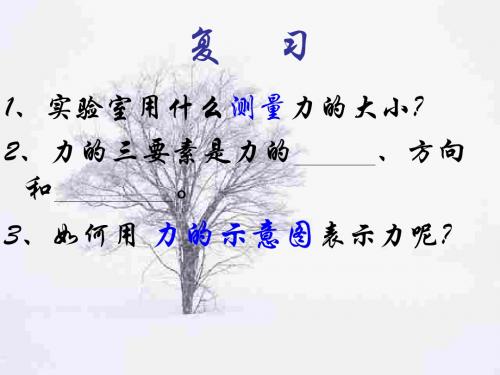 初三物理上学期重力