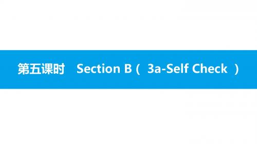 新编文档-3第五课时 Section B (  3a-Self Check  )-精品文档